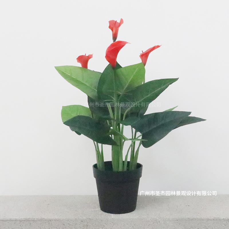 仿真马蹄莲婚庆家居装饰PE塑胶手感花田园落地摄影人造马蹄莲盆栽