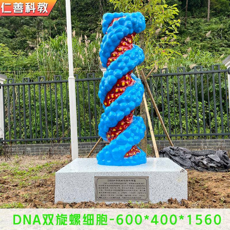 生物园细胞模型直销生物教学器材景观雕塑DNA双螺旋细胞模型