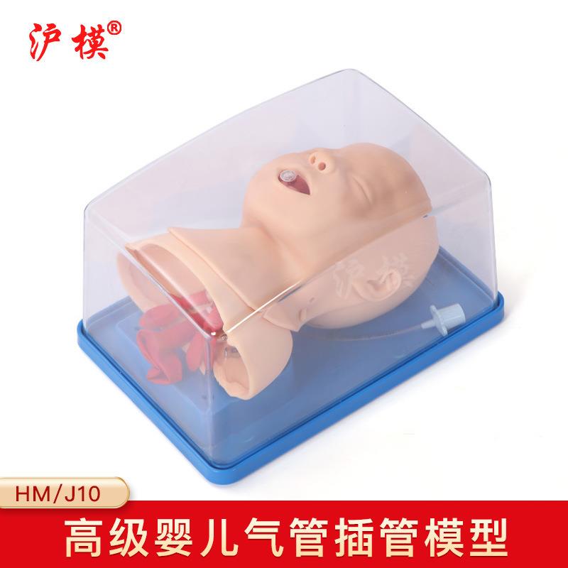 沪模HM/J10婴儿气管插管模型婴幼儿气道管理训练模具假人