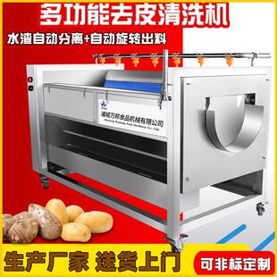 现货葛根毛刷清洗机全自动红景天清洗机商用草乌清洗设备