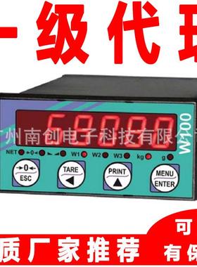 意大利Laumas称重显示控制器W100WT60.000MWR60.000WERS485