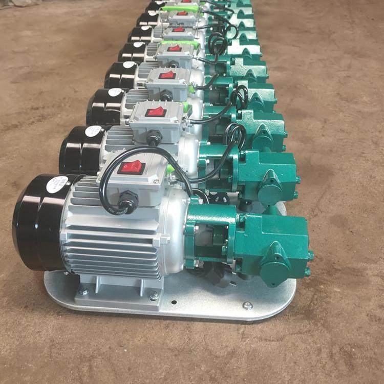 供应WCB-75手提式齿轮泵柴油泵粮油泵滤油机泵榨油机泵,畜牧/养殖物资,畜牧/养殖器械,淘宝优惠券,粉丝福利购,淘宝优惠卷