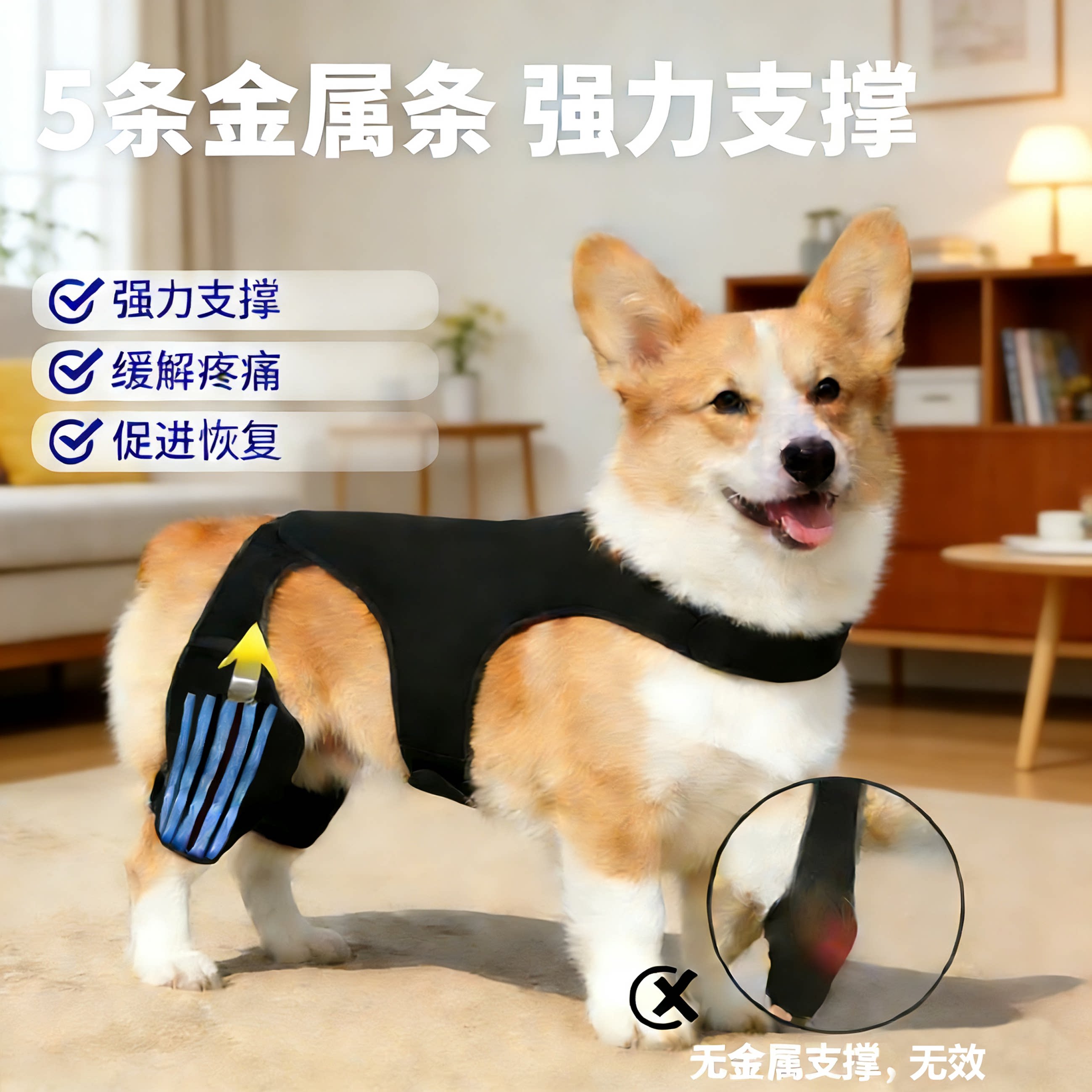 狗狗护膝柯基ACL韧带术后