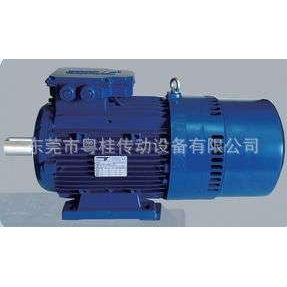 意大利Temporiti刹车马达 Temporiti进口电机 REBM71C4/0.55KW