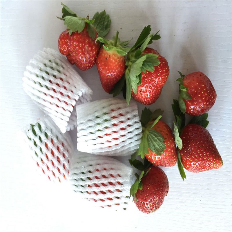 草莓网套 水果保护套 珍珠棉套袋 白色加厚减震 广州现货直发