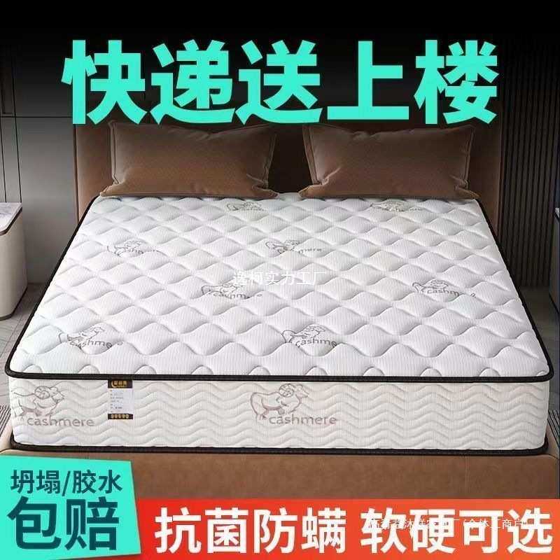 家用床垫卧室经济型20CM加厚弹簧垫出租屋乳胶垫椰棕软硬两用