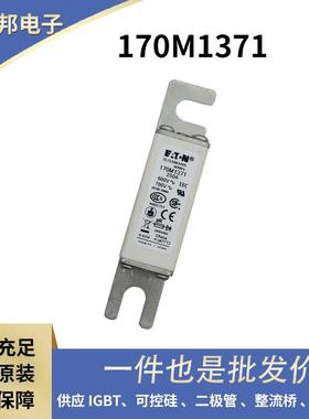 170M7066170M7069170M7078170M7079原盒陶瓷熔断器保险丝