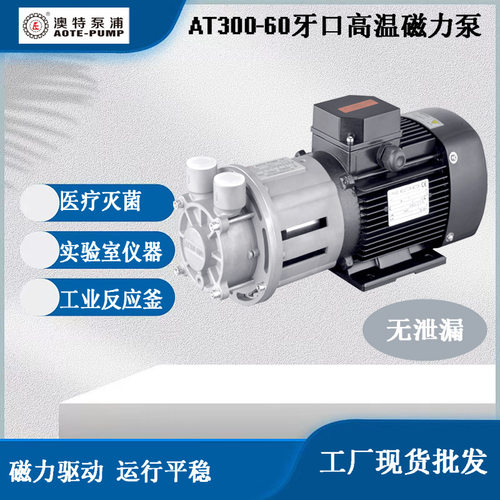 AOTE-PUMP澳特AT300工业反应釜齿轮磁力泵高温油泵不锈钢材质