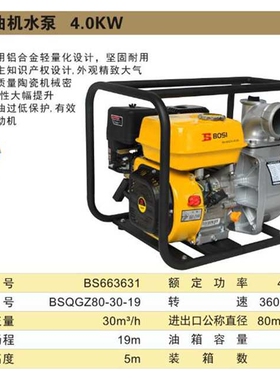 波斯铝合金汽油机发电水泵5米BS663631 4000W BS-QGZ80-30-19
