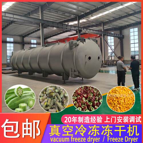 冻干草莓设备有零有食 FD水果榴莲真空冻干机 海产品冷冻干燥机