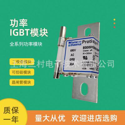 全新熔断器保险丝DN000UB69V80tK330036 DN000UB69V100tL330037