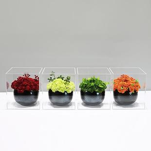 新中式现代亚克力盒仿真花艺绿植软装茶几花架酒店洽谈桌摆件