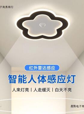感应灯人来即亮人走即灭入户玄关夜间人体led过道灯走廊灯吸顶灯1