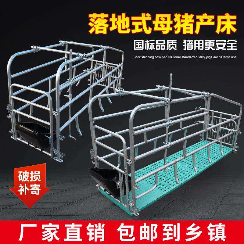 落地式母猪产床双体产保两用单体简易保育一体产房养殖猪场分娩床