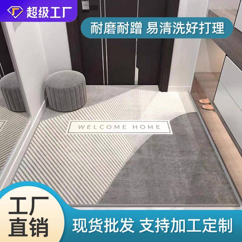 地垫入户门进门地毯门口家用门垫现代脚垫耐脏客厅轻奢高级