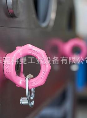 德国RUD进口固定螺栓吊点吊环VRS-F路德带制动片旋转吊环索具吊具