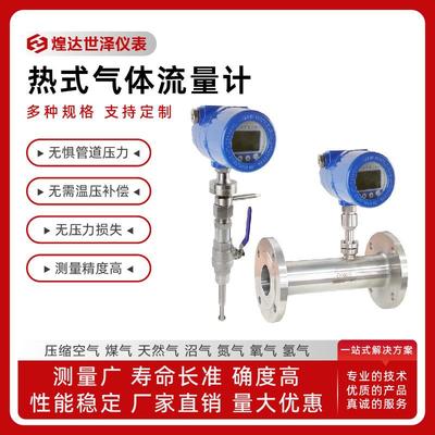 高温型热式气体质量流量计不锈钢热式气体质量流量计热式空气流量
