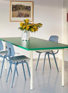 北欧极简彩色餐桌红绿灰蓝色现代简约家用客厅长条方形轻奢风HYA