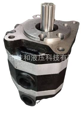 装载机铲车齿轮泵打桩机液压泵CBFC双联油泵高压耐用