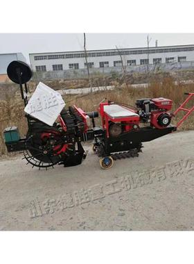 后置座驾UZQ式葱种植秧机双大座位葱苗大栽葱机河南葱苗移栽器