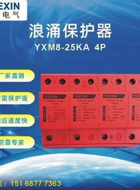 保厂家直销防雷一级浪涌保护器4IXXp25K防雷浪涌护器A器电涌保护
