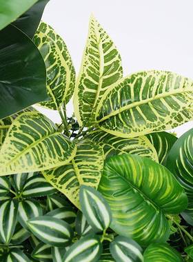 仿绿植摆造景组合花槽箱假花仿真花设假植物花景观jd101312装真饰