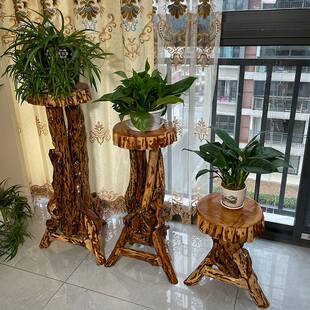 6R根雕多层实木花架室内天然树根花盆架客厅奇石底座简易随形花架