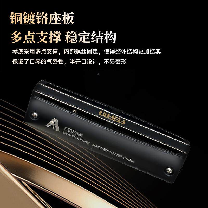 十孔者LE-MC20C岩调布鲁斯口琴MC20入门专演奏业初攀学专用