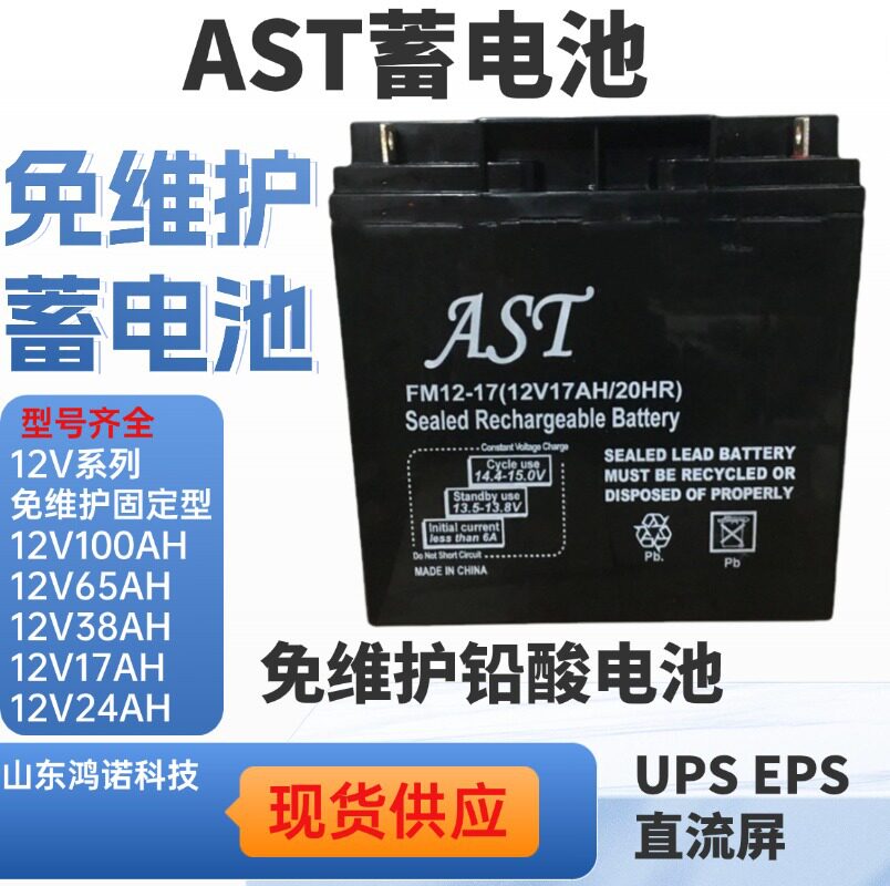 AST艾斯特蓄电池ST12-17 铅酸储能型电瓶 12V17AH应急后备电源