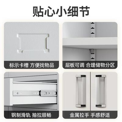 更衣柜钢制文档件柜办公室储物柜房工厂案柜宿舍楼健身SHLD2022学