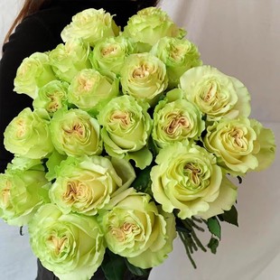 琉璃翠切花玫瑰苗灌木花卉盆栽月季花苗蔷薇玫瑰阳台庭院花卉盆栽