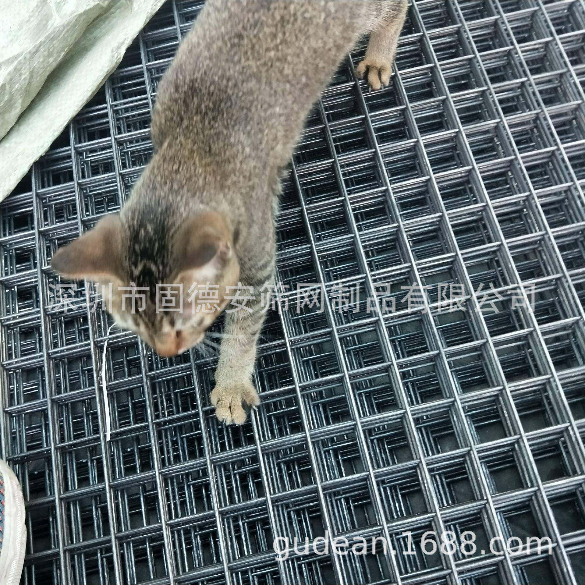 供应镀锌网片焊接网片建筑网片固德安筛网,工业油品/胶粘/化学/实验室用品,其他实验室设备,淘宝优惠券,粉丝福利购,淘宝优惠卷