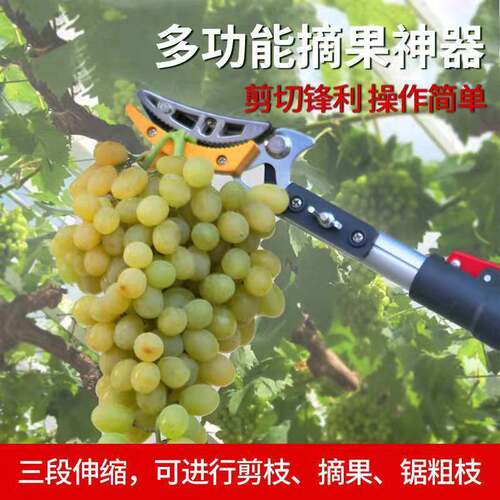 多功能摘果器伸缩杆摘果剪果树高枝高空剪枝剪刀摘柿子枇杷荔枝