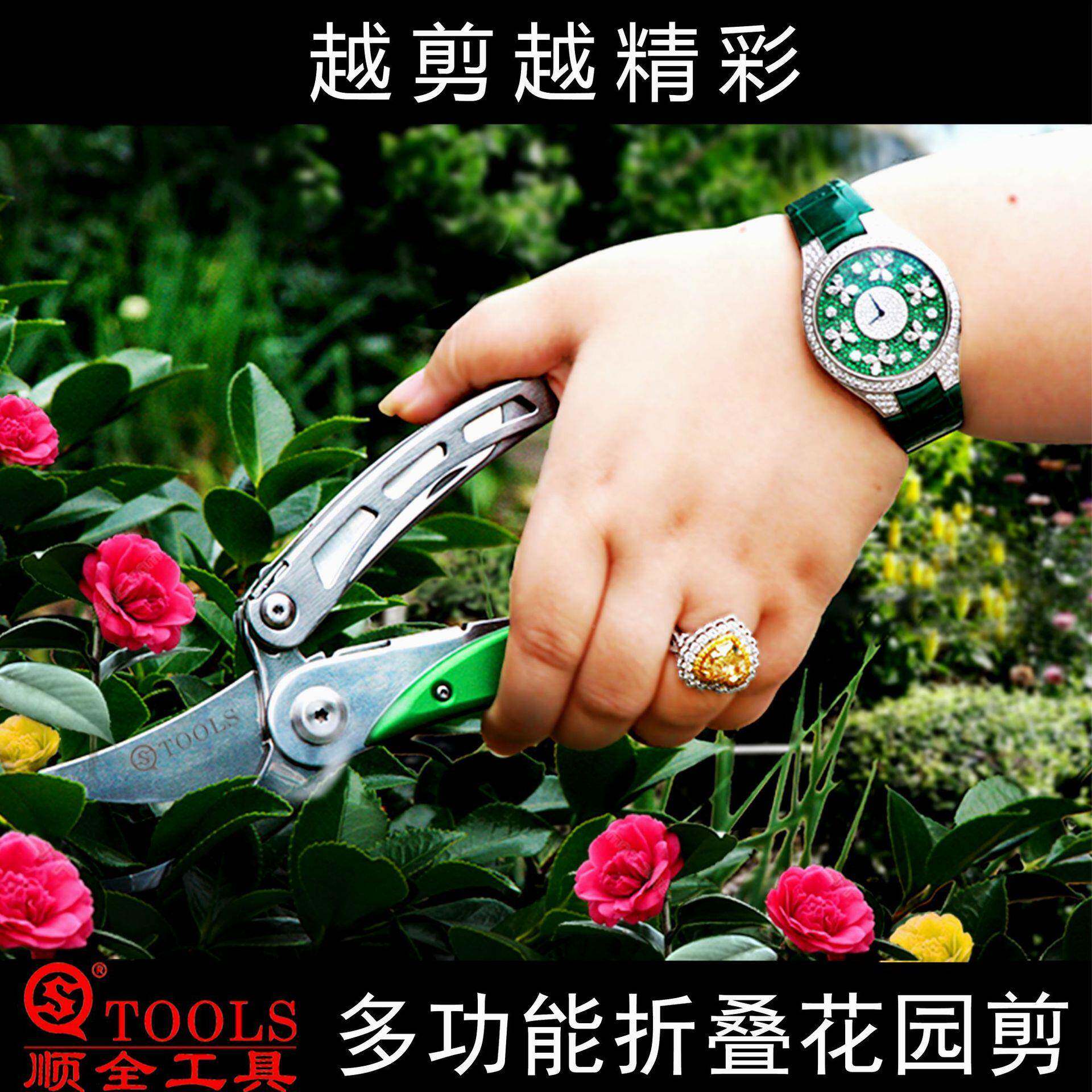 全修园枝嫁接剪花顺剪不锈艺钢菖蒲室内植物微型盆景KT1064工具多