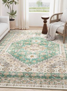 亚马逊毯客厅卧室可区域地斯防RSX-67滑背衬可洗波复古大面积防污