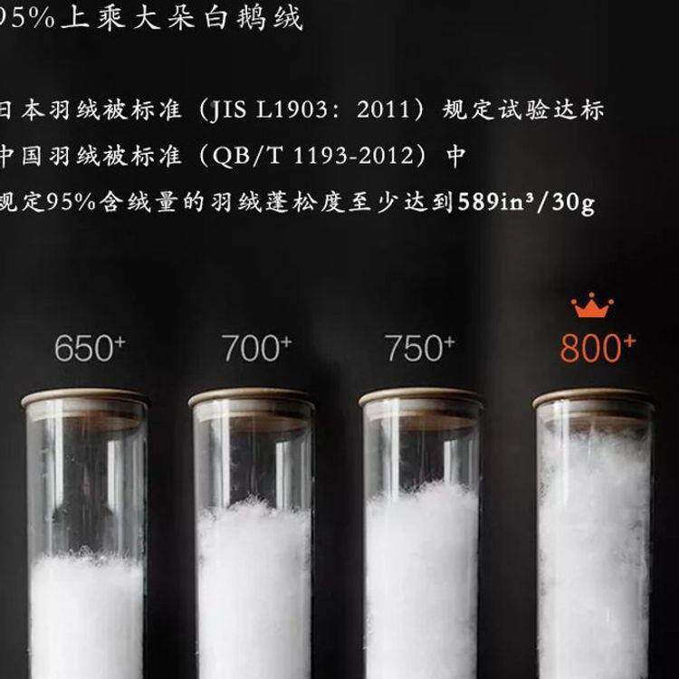 外行轻薄羽绒被携式露营95白鹅绒被便芯可水迪晶家纺洗轻薄鹅旅绒