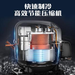 白雪冰柜式列柜203展示冷柜饮料柜啤酒柜立柜陈点菜柜