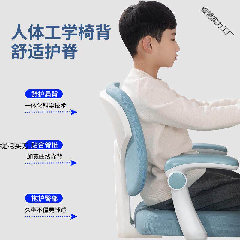 兴动力学学习椅背子靠儿童写字椅小生写作业专用座椅可升降调书节桌凳学子