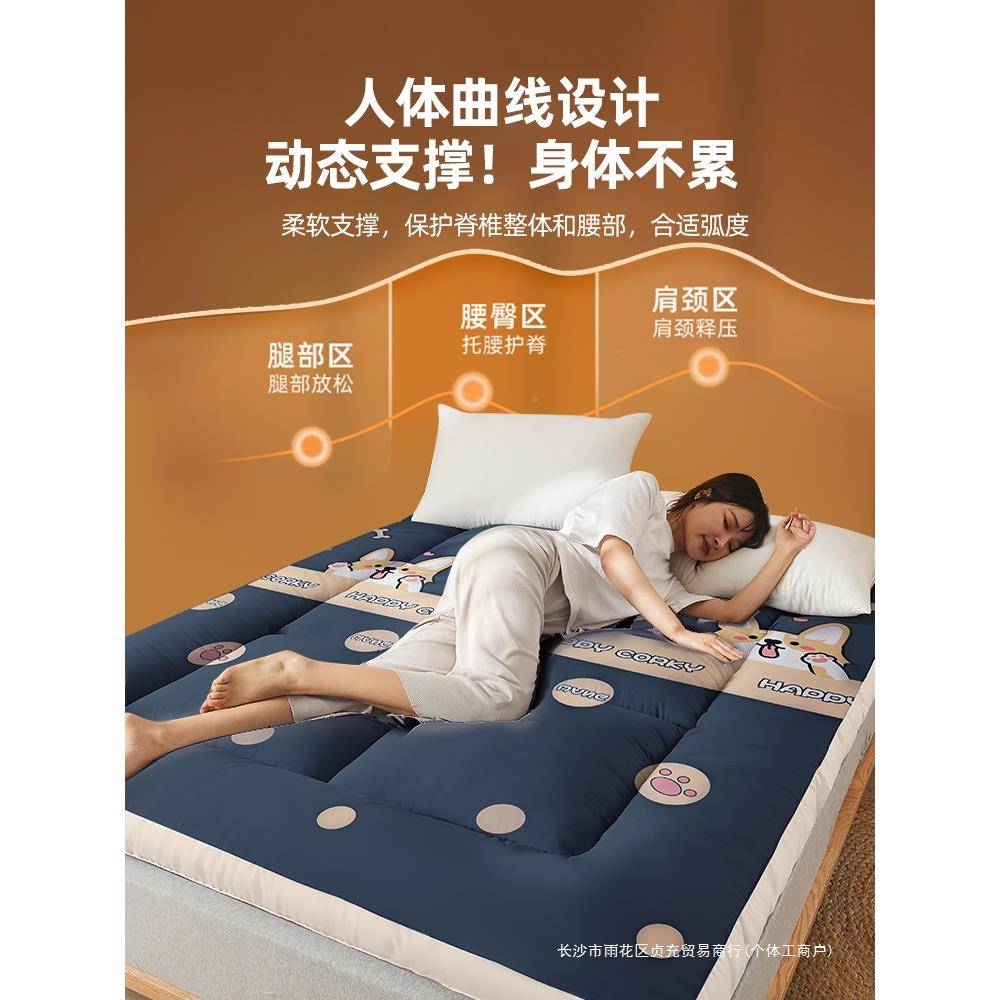 床垫软垫5家用卧室地铺睡垫租1米床房专用子学生宿舍CD202307单人