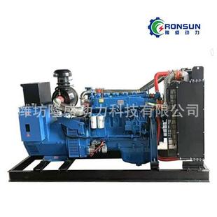 供货柴油发电机组200kw柴油发电机组潍坊斯太尔发电机隆盛