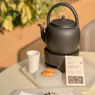 云琳茶具新中式茶饮提梁壶茶馆出品配套托盘全套茶壶组合teastone