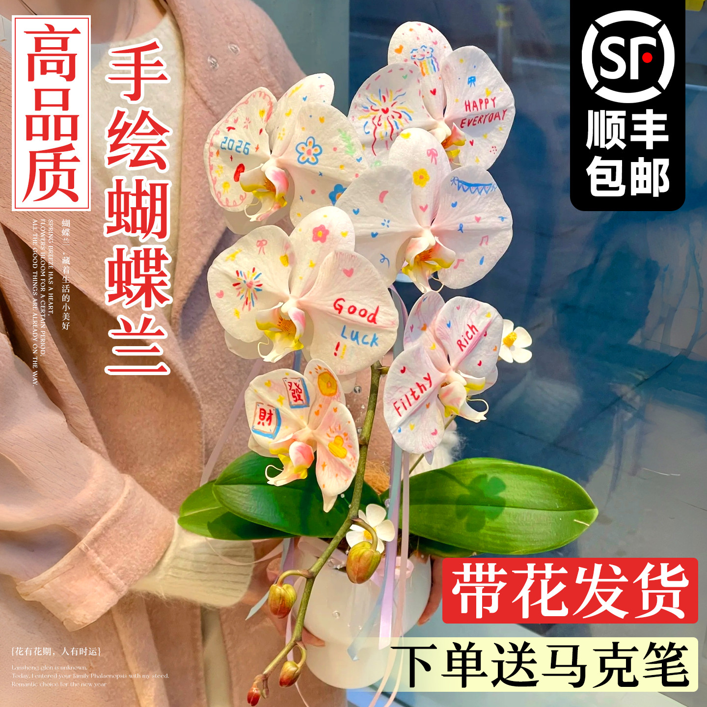 白色蝴蝶兰带花盆栽名贵系列手绘鲜花卉带花苞办公室内洋兰花diy