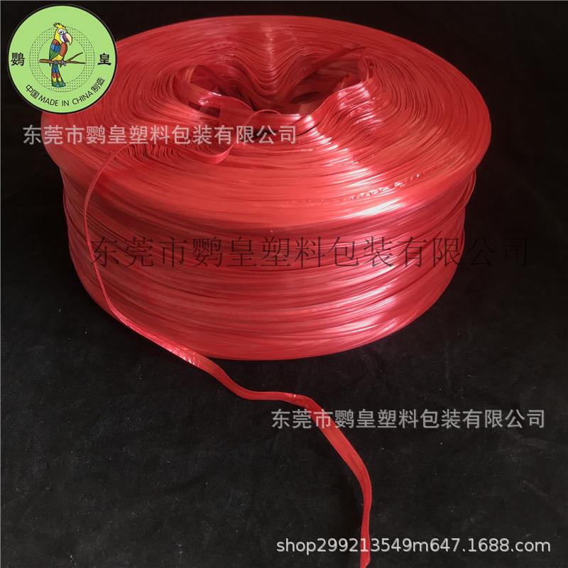 鹦皇红色捆扎绳扁丝使用宽度0.5cm细绳包装绳塑料打包绳子