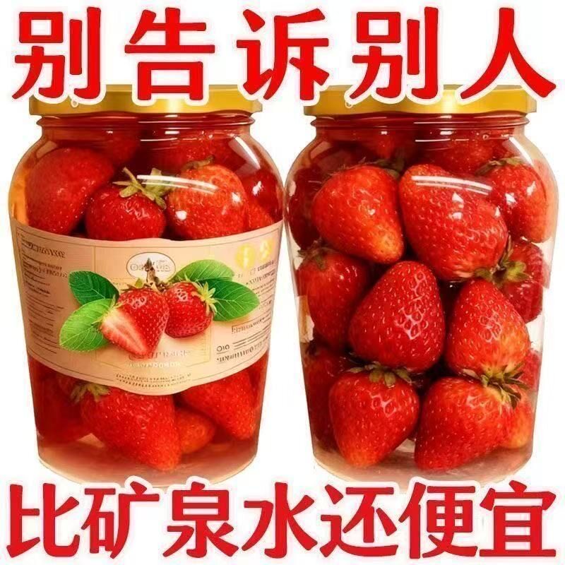 罐头大特价】新鲜草莓罐头整箱草莓罐头当季草莓新鲜批发大罐装