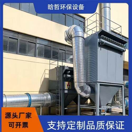 定制脉冲布袋除尘器不锈钢布袋除尘器粉尘粉末集尘式脉冲除尘器