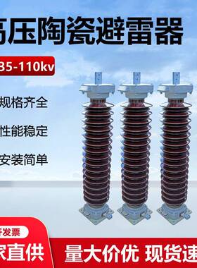 35-110kv陶瓷外套金属氧化锌避雷器Y5WZ-51/134102/260户外防雷