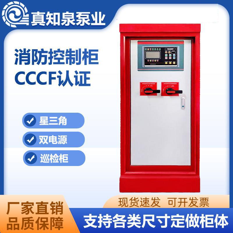 消防水泵控制柜巡检柜星三角机械应急启动柜双电源柜变频lP55