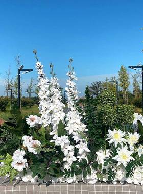 婚庆仿舞真花千兰花排高端排花路代引花花T台艺红色香PIL槟系台背