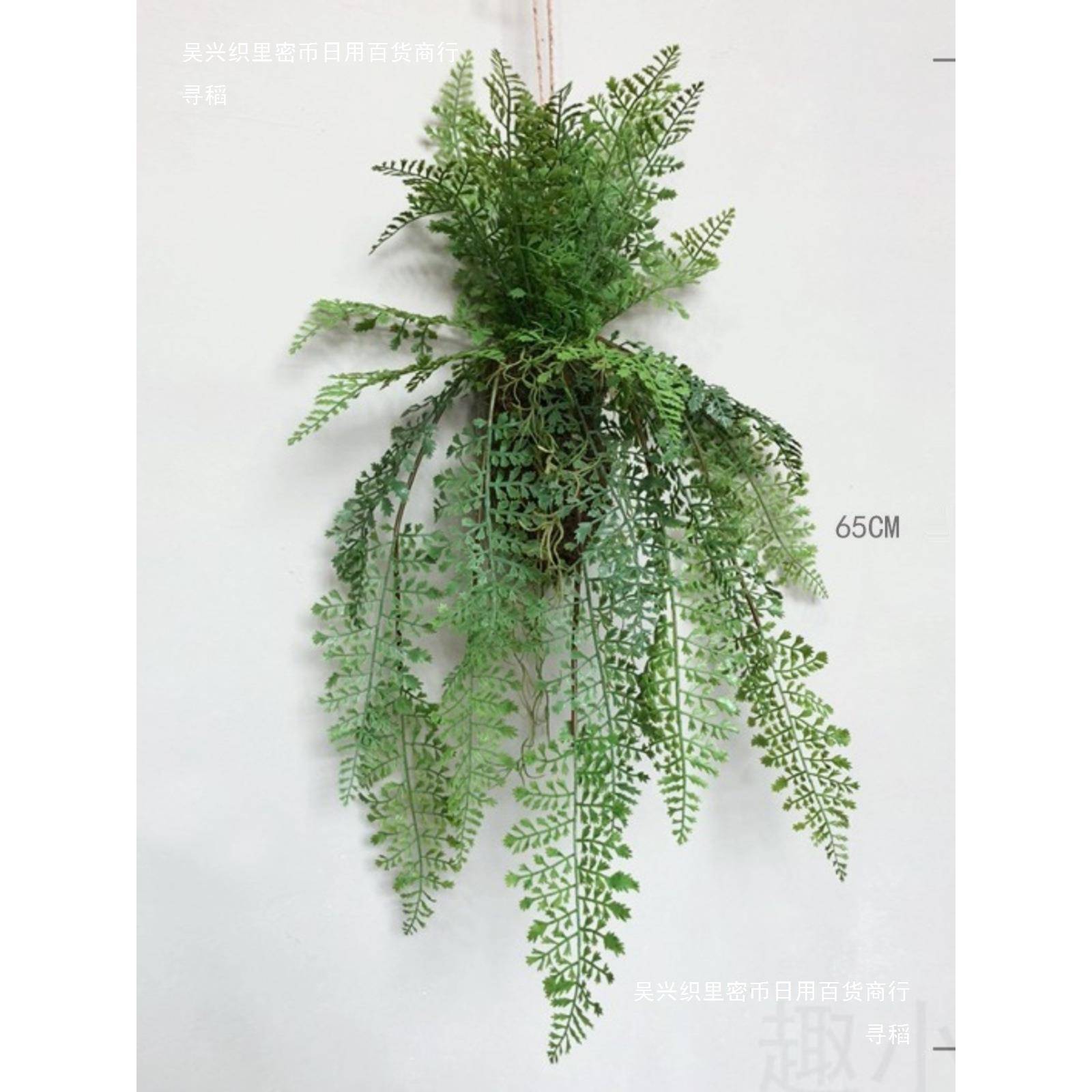 饰风蕨类植物物空中吊球吊顶装饰墙景家居挂假花艺壁10025719植挂