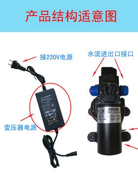 微型增压泵1V2204V自吸抽水FLB高压水泵自动停启SDP-8W12V带电源